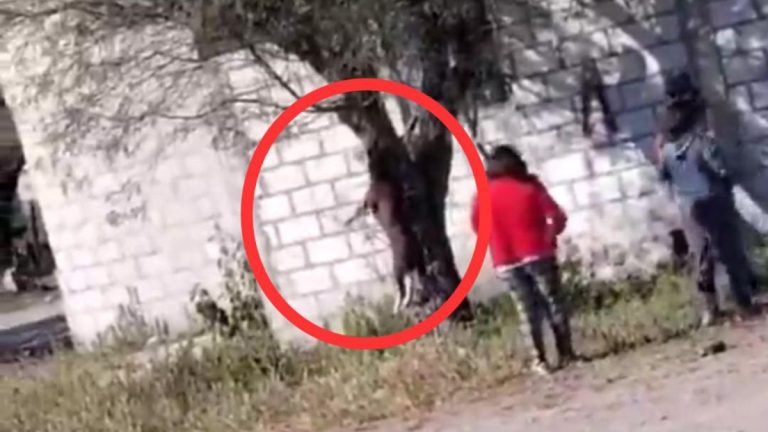 Sin detenidos por el asesinato de “chocolata”