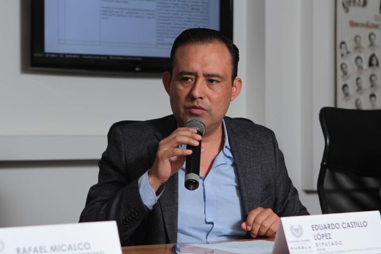 Congreso de Puebla secunda acciones para abatir maltrato animal