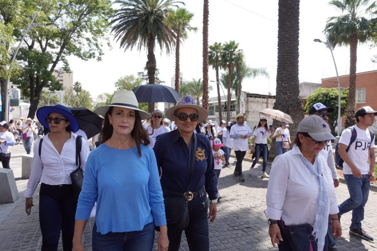 Votará el PAN a favor de los parquímetros: líder estatal