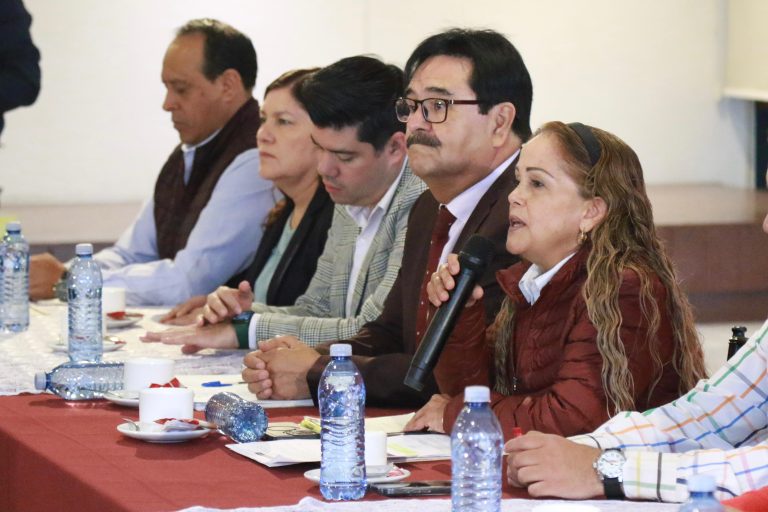 Agustín Guerrero, secretario general de morena