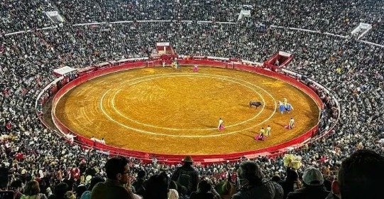Vuelven a suspender corridas de toros en la Plaza México