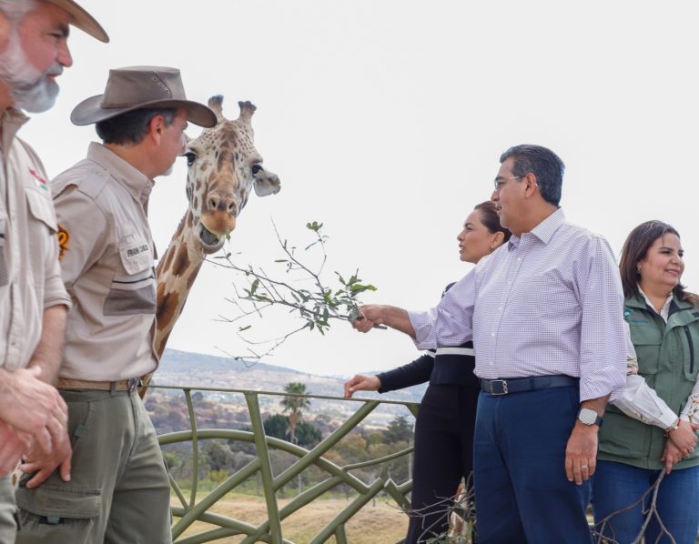 Puebla da bienvenida a Jirafa “Benito”; Gobierno Estatal respalda causas animalistas , destaca Sergio Salomón