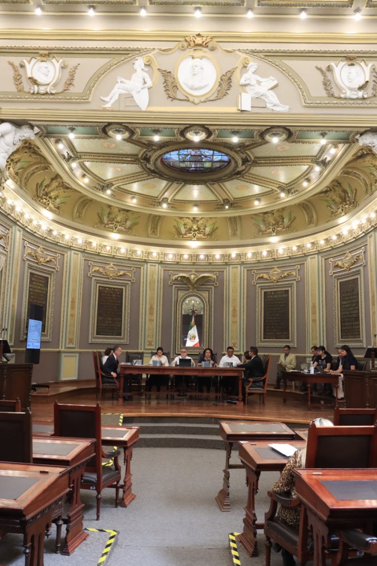 Proponen en el Congreso sancionar cambio de uso de suelo en terrenos forestales sin autorización