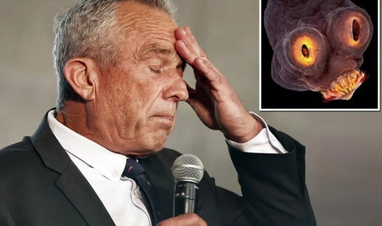 El candidato presidencial independiente Robert F. Kennedy Jr. dijo que los médicos encontraron un gusano muerto en su cabeza que se comió parte de su cerebro