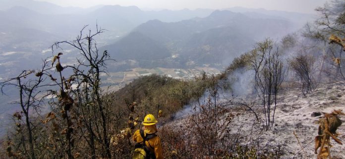 Por provocar incendios forestales, hay cinco denuncias y tres detenidos