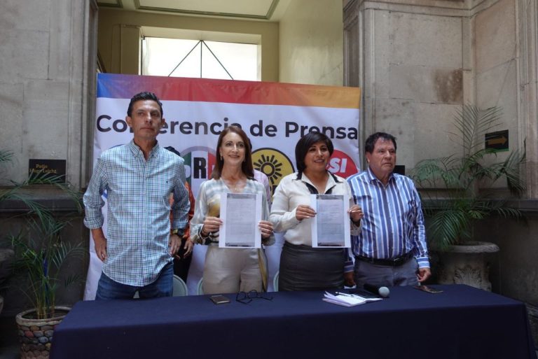 PAN va por traidores de la elección; una de ellas Paola Angón