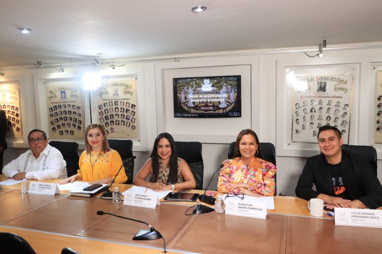 Aprueba Comisión del Congreso que Ayuntamientos destinen espacios para “nenis”
