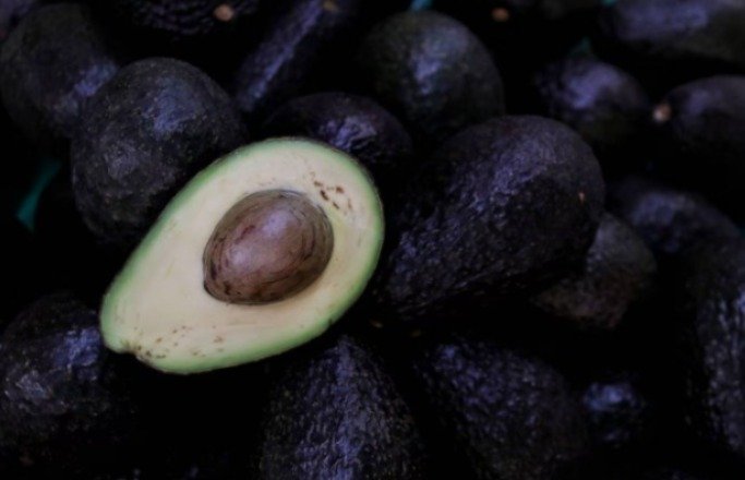 Úntele doble ración: ¿Cuántos millones de dólares en aguacate exporta México a EU?