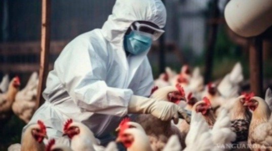 Puebla refuerza vigilancia epidemiológica ante casos de gripe aviar en el mundo