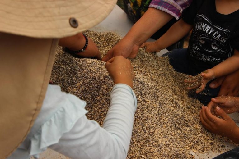 Ayuntamiento de Puebla invita al curso de verano agroecológico “Misión: Rescate Tierra”
