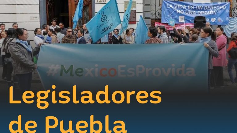 PAN rechaza la despenalizacion del aborto y pide se discuta aún más