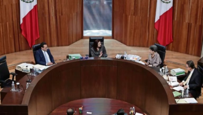 Tribunal Electoral analiza anteproyecto para calificar la elección presidencial