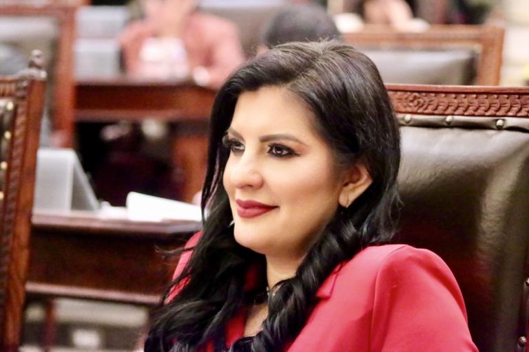 Organismos electorales apoyan al oficialismo: PRI