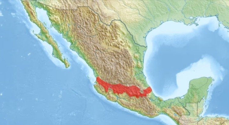 Faja volcánica Transmexicana, un peligro silencioso para miles