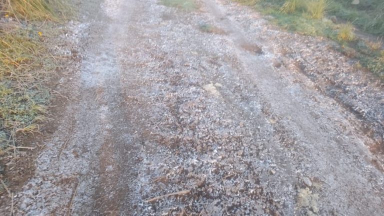 Ola de frío azota a Puebla y activa alerta de Protección Civil Estatal