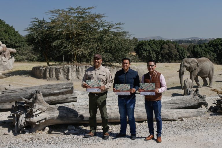 El Gobierno de la Ciudad se suma a la Campaña Verde Navidad 2024 para reciclar árboles naturales de temporada
