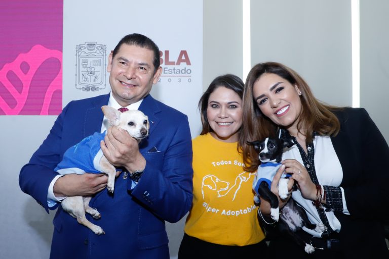 Ratifican 63 denuncias por maltrato animal en Puebla