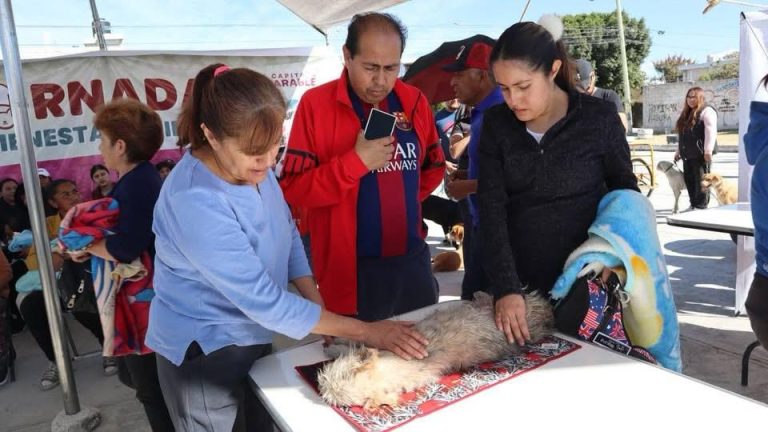 Gobierno de la Ciudad lleva Jornada de Bienestar Animal a Colonia Minerales del Sur