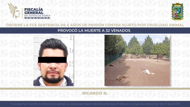 Sentencian a 6 años de prisión por matar a 32 venados