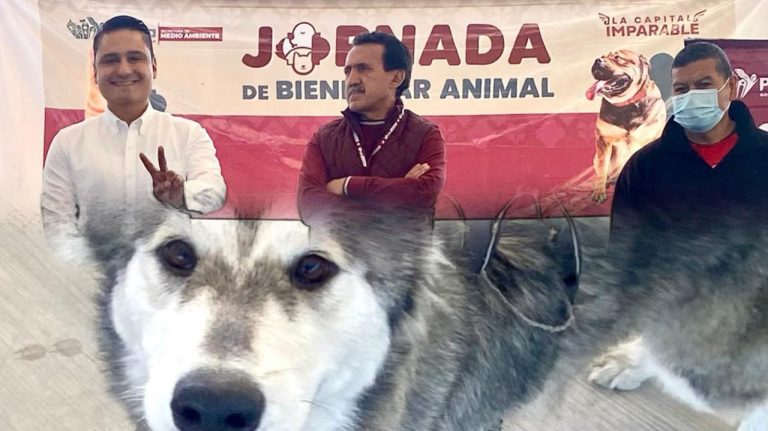 Gobierno de la Ciudad llevó con éxito Jornada de Protección Animal a La Guadalupana