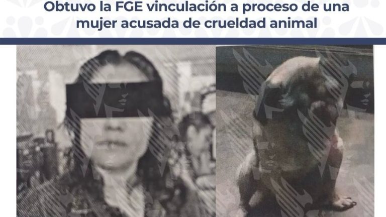 Vinculan a proceso a mujer por crueldad animal; le partió la columna