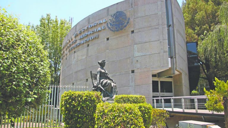 INE advierte sobre el abstencionismo electoral por nueva CURP