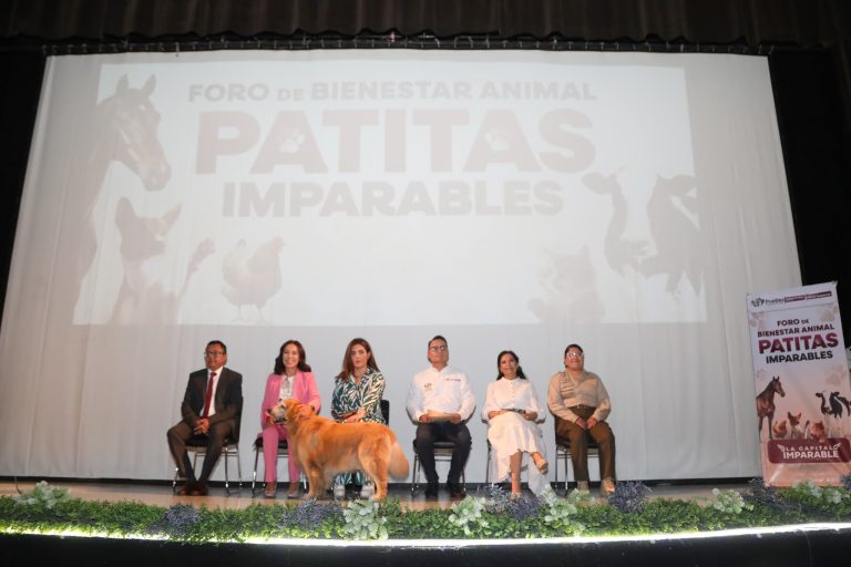 Por el bienestar animal el Gobierno de la Ciudad realizó el foro participativo “Patitas Imparables”