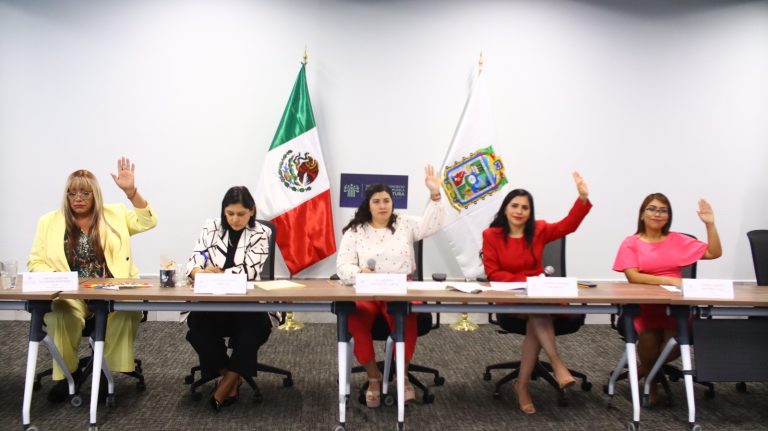 Avalan en Comisión del Congreso propuesta legislativa a favor de mujeres jubiladas