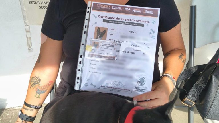 En Puebla el padrón de perros y gatos es voluntario