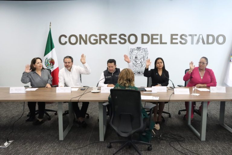 Analiza Comisión del Congreso acciones en materia de Organizaciones de la Sociedad Civil