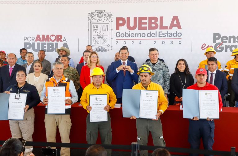En 68 por ciento baja afectación forestal