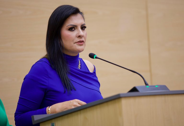 Impulsan en el Congreso iniciativa para ampliar la protección de adolescentes y niñas en el entorno digital