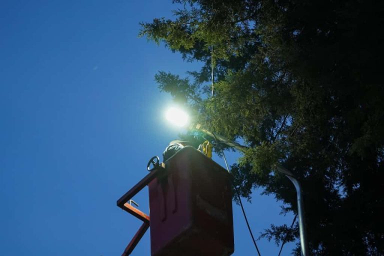 Inaugura Gobierno de Pepe Chedraui modernización de alumbrado en colonias del sur de la ciudad