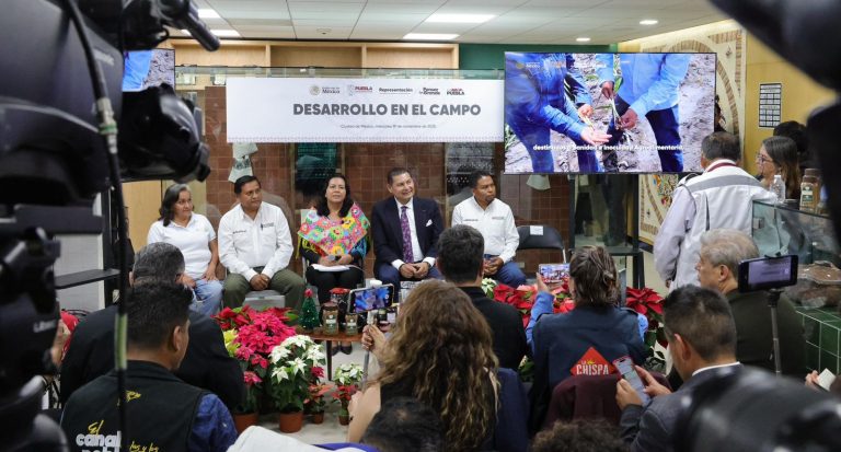Gobierno de Puebla potencia producción de Nochebuena y consolida a Atlixco como líder nacional