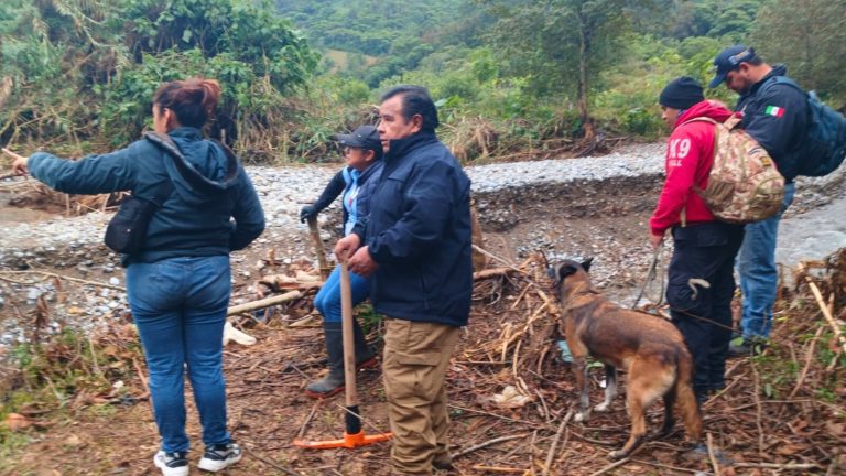 Continúan acciones de búsqueda de Liam Tadeo en Huauchinango