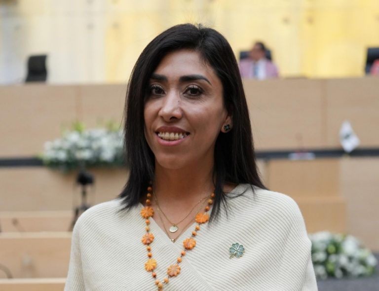 Continúa procedimiento contra Amanda Gómez, ex titular de la ASE: Norma Pimentel