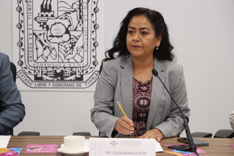 El revés de la SCJN debe sentar un precedente para modificar la forma de legislar: PAN