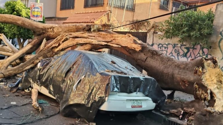 Dos personas muertas por sismo en San Marcos Guerrero