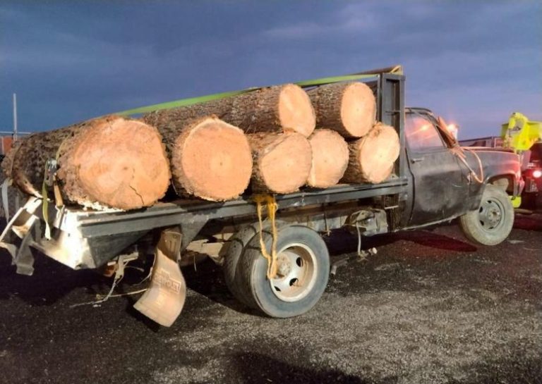 Con Operativo Interestatal Puebla–Tlaxcala, se aseguran más de 70 troncos de madera
