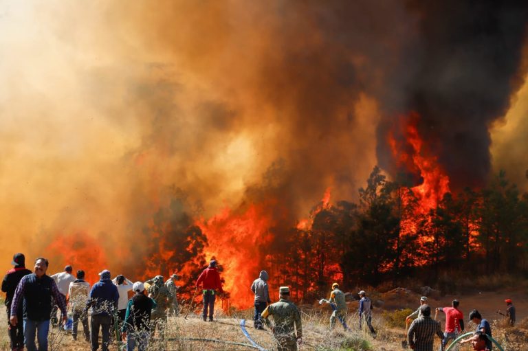 Incendio en Vicente Guerrero está controlado al 90%; no hay riesgo para la población
