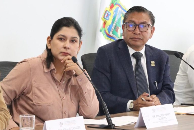 Comisión del Congreso aprueba reforma para transferir semanas de licencia de maternidad en caso de parto anticipado