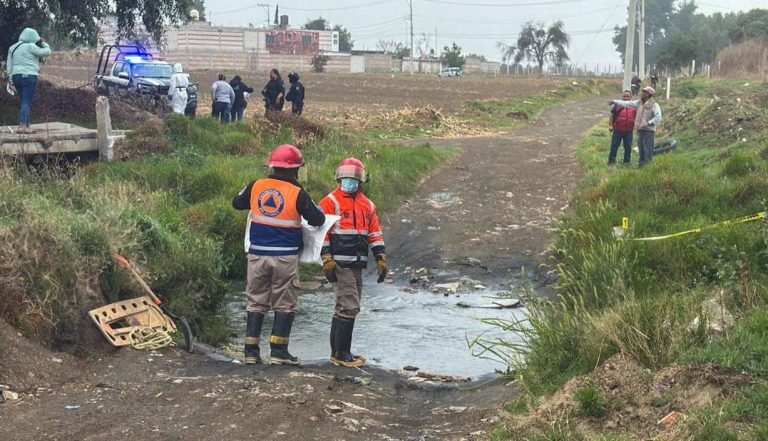 Bienestar Animal condena enérgicamente agresión de 7 caninos en Huejotzingo