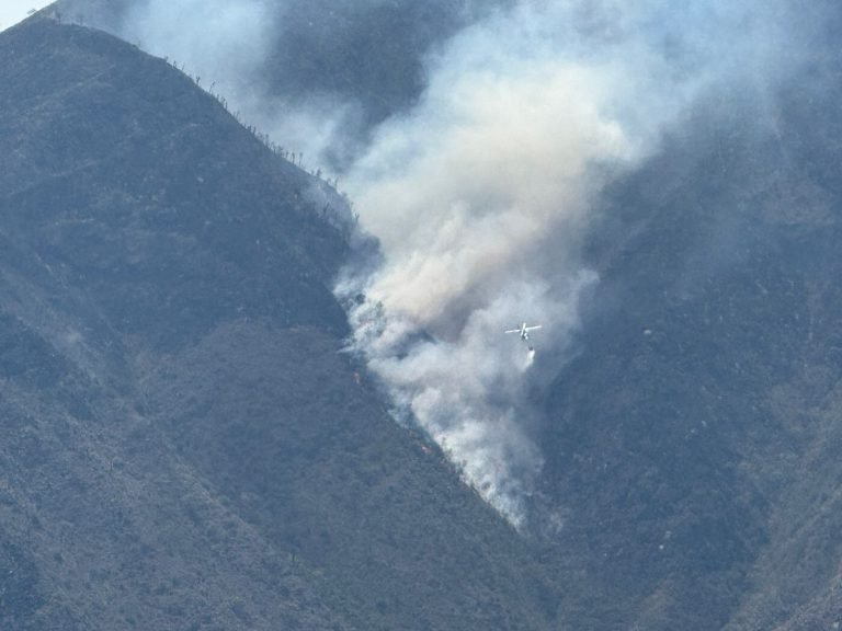 Más de 250 brigadistas combaten incendio en Zautla