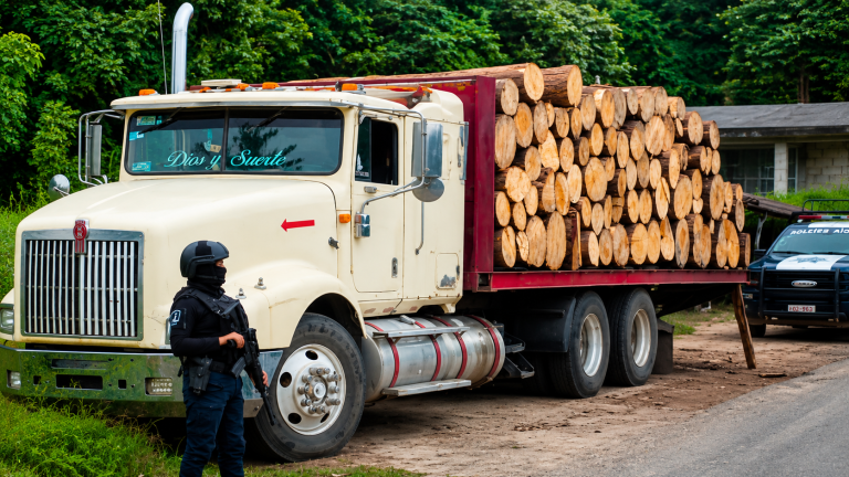 Policía Forestal detiene a cuatro hombres en posesión ilegal de madera