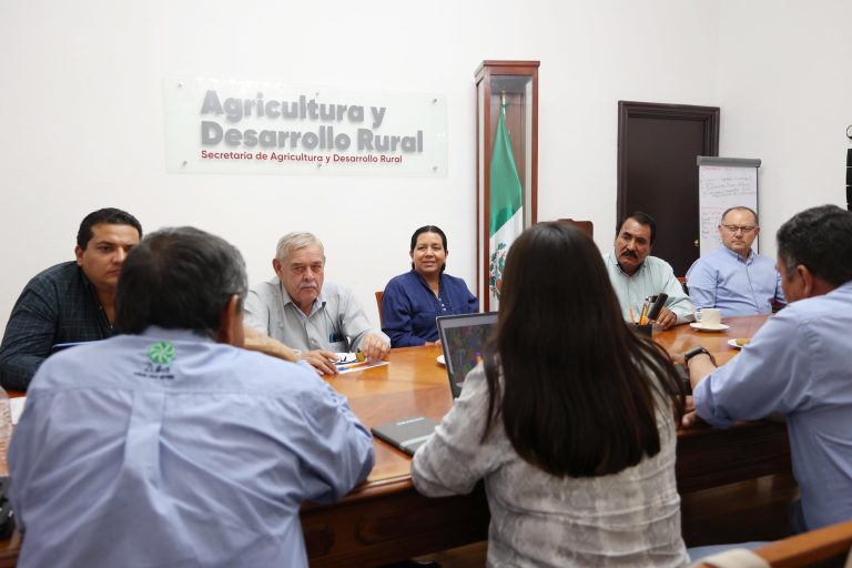 Destinan 2.5 millones de pesos para campaña de control del Barrenador del Tallo