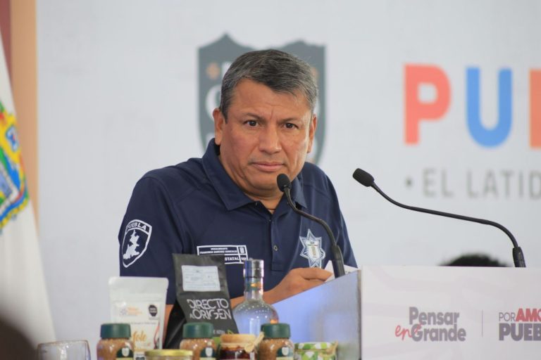 Comparecencia del secretario de Seguridad en el Congreso para el 8 de julio