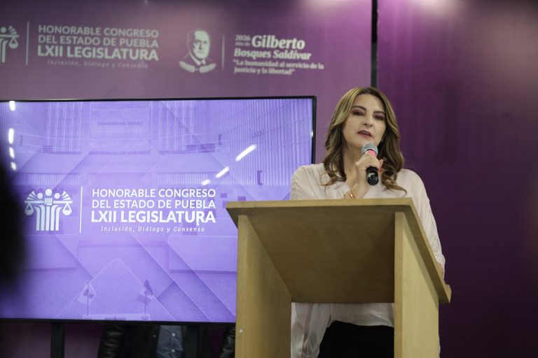 Fuerza por México irá en alianza con Morena para las locales de 2027; aplicará filtros de seguridad